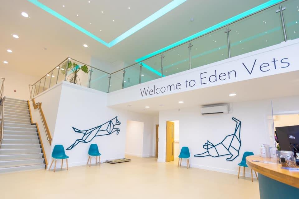 Eden Vets reception and double-height entrance space